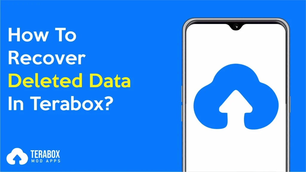 recover deleted data in terabox image